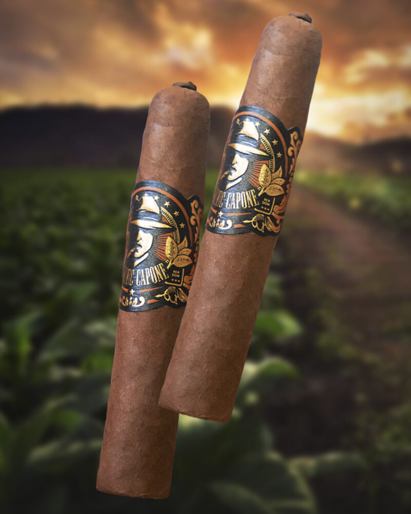 CORONA PIGTAIL / Short